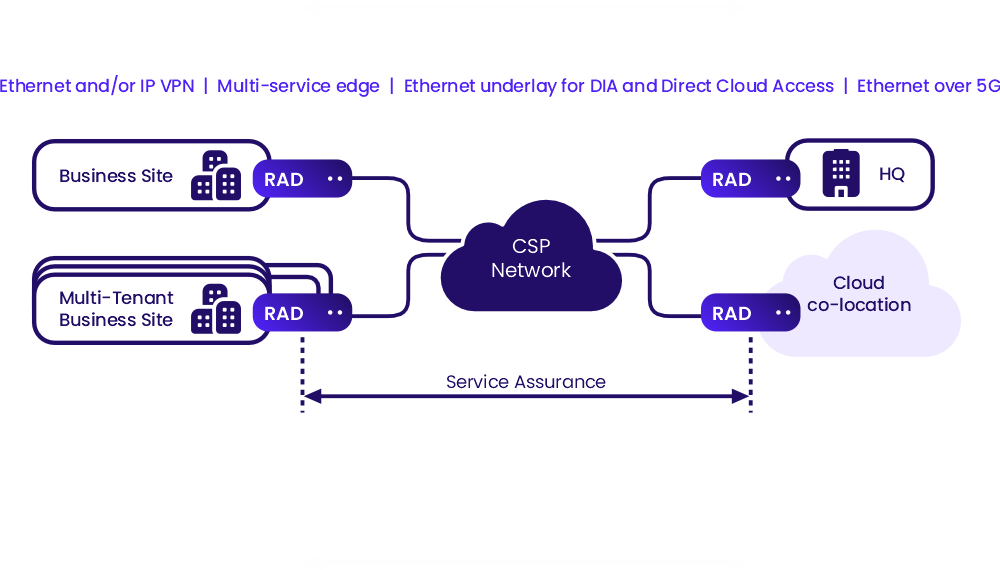 RAD Mplify-Certified Carrier Ethernet and Automation